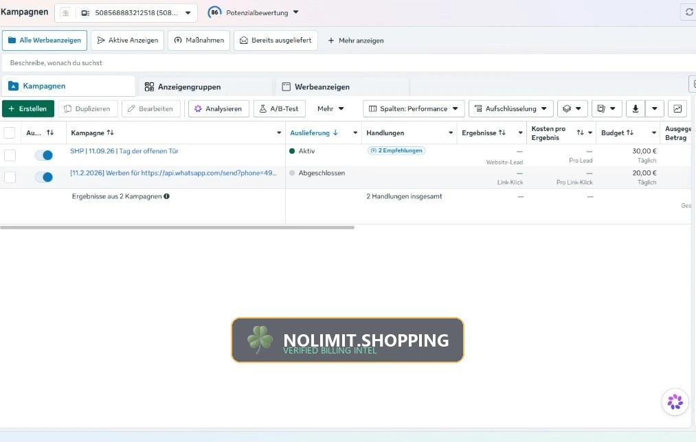 Meta Ads Manager — Active Campaign Auction Delivery Following Reinstatement